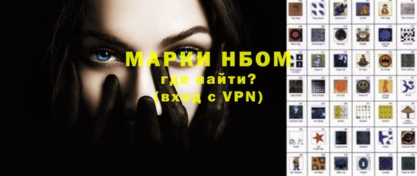 шишки Осинники