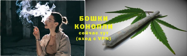 PSILOCYBIN Покров