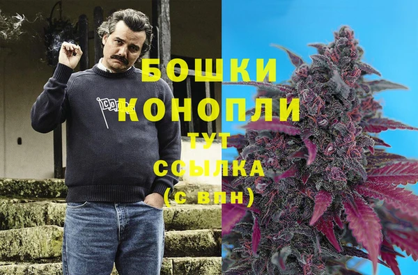шишки Осинники