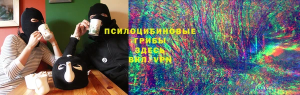 тгк Бородино