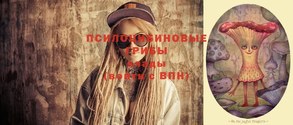 шишки Осинники